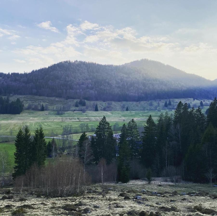 Hotel Hirschen Menzenschwand-Hinterdorf 외부 사진