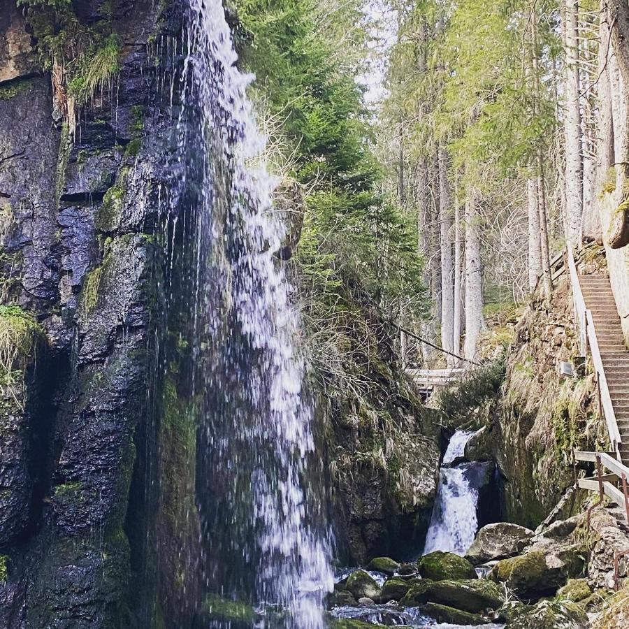 Hotel Hirschen Menzenschwand-Hinterdorf 외부 사진