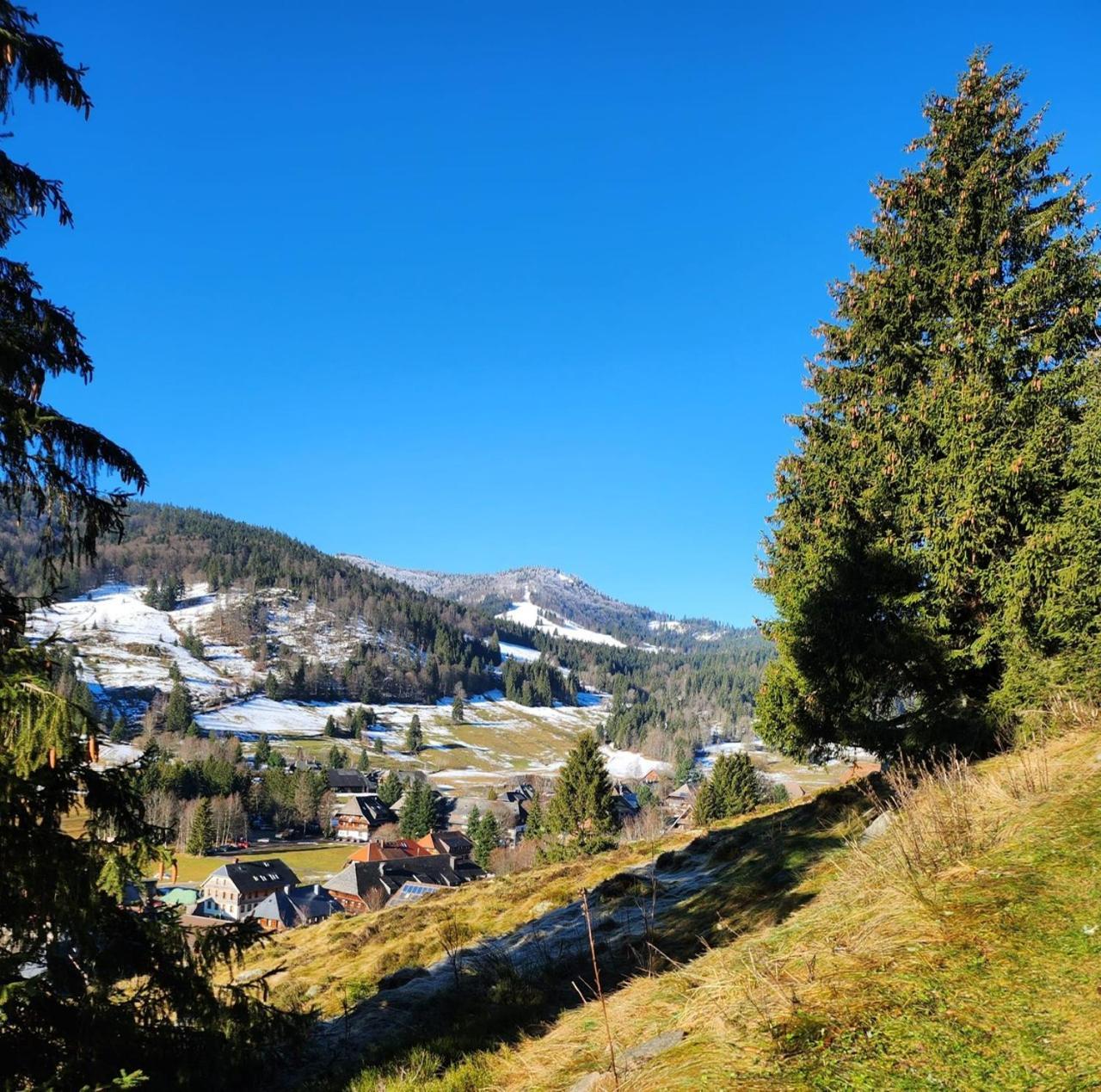 Hotel Hirschen Menzenschwand-Hinterdorf 외부 사진