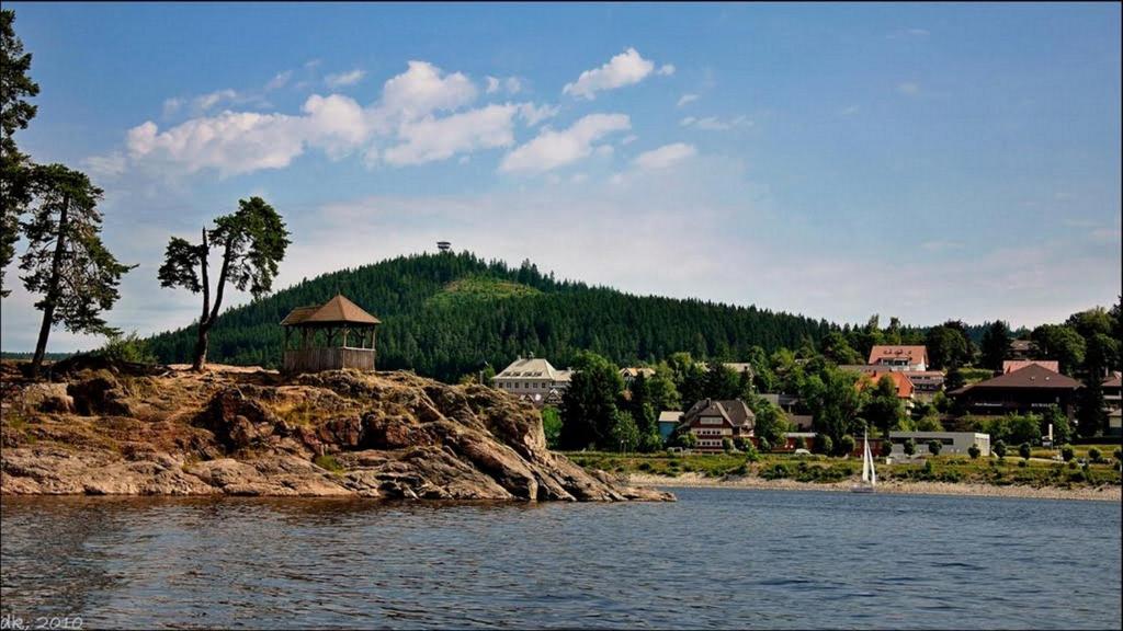 Hotel Hirschen Menzenschwand-Hinterdorf 외부 사진